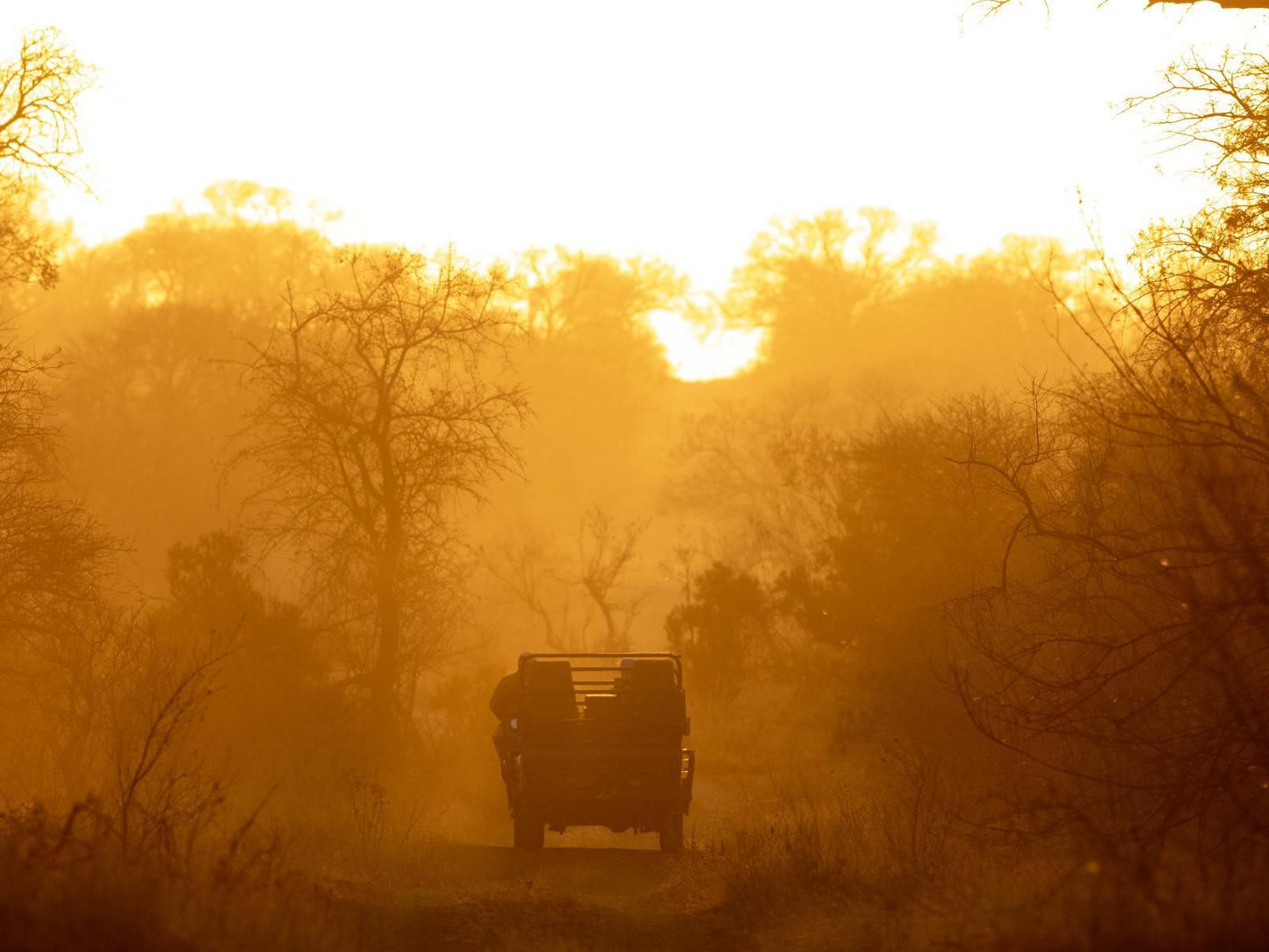 Walkers Plains Camp, Colorful, Fog, Nature, Silhouette, Sunset, Sky