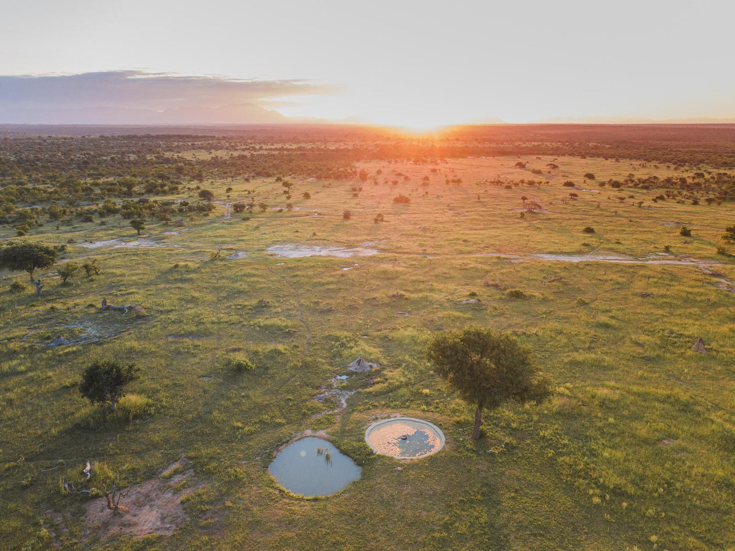 Walkers Plains Camp, Lowland, Nature