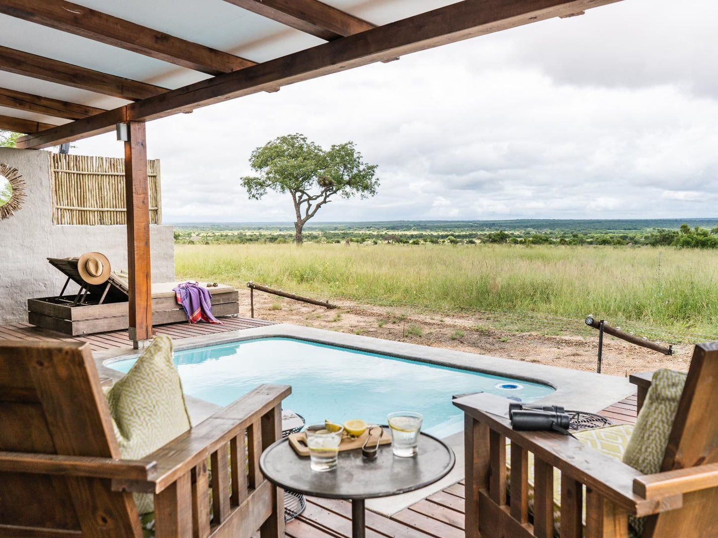 Walkers Plains Camp, Safari Room, Lowland, Nature