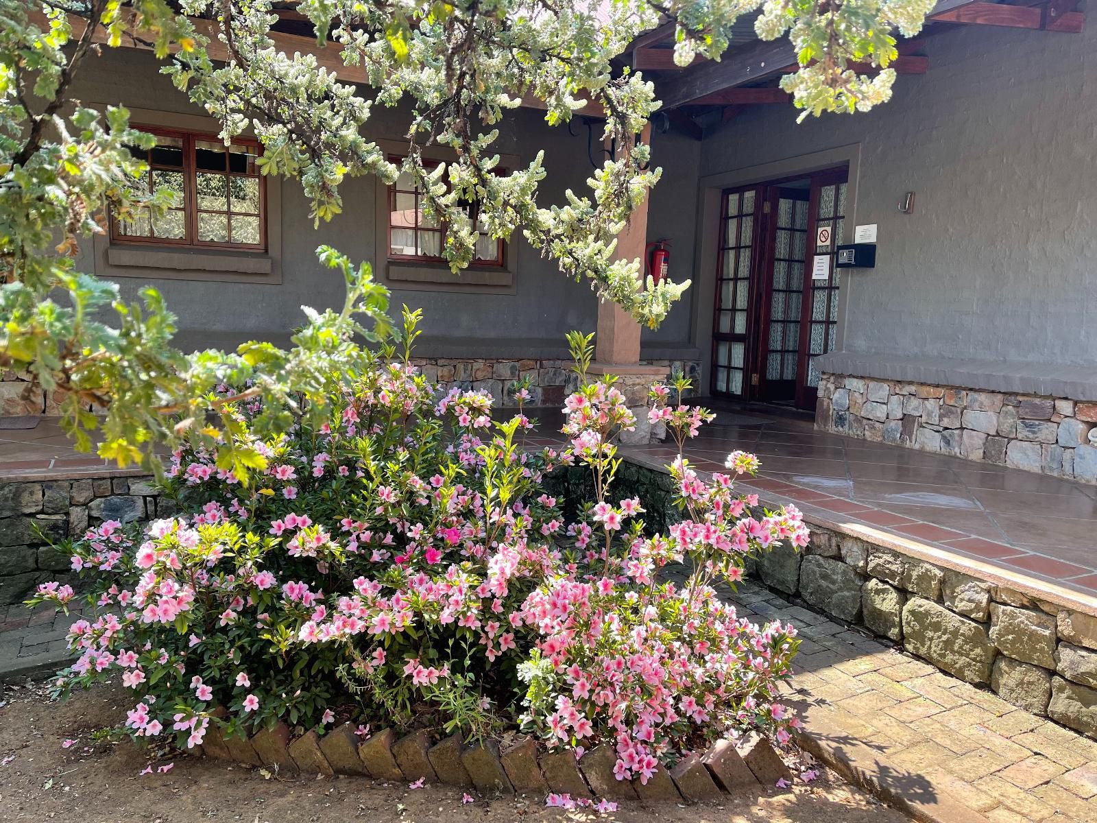 Walkersons Pastures Village Dullstroom Mpumalanga South Africa Blossom, Plant, Nature, House, Building, Architecture, Garden