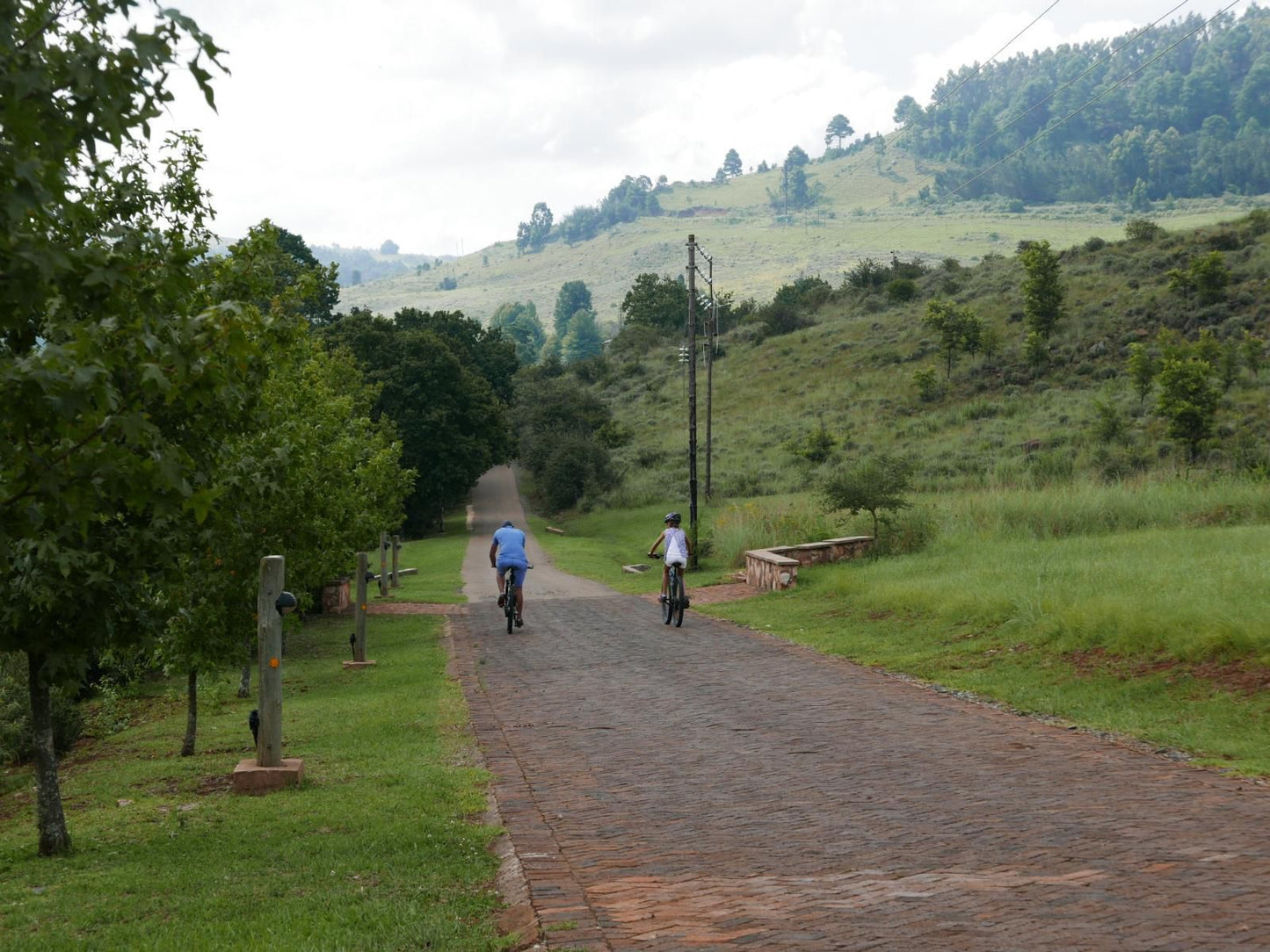 Walkersons Pastures Village Dullstroom Mpumalanga South Africa Bicycle, Vehicle, Tree, Plant, Nature, Wood, Cycling, Sport, Highland, Street