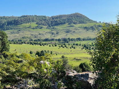 Walkersons Pastures Village Dullstroom Mpumalanga South Africa Complementary Colors, Nature