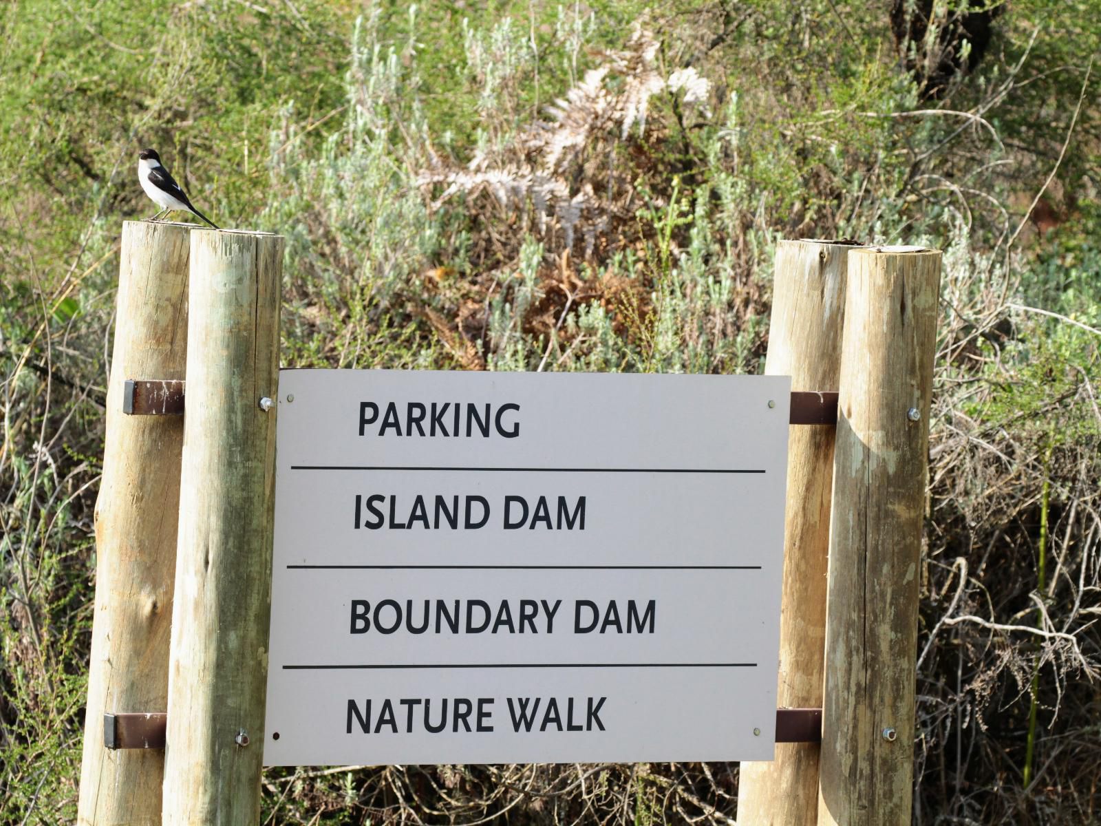 Walkersons Pastures Village Dullstroom Mpumalanga South Africa Sign