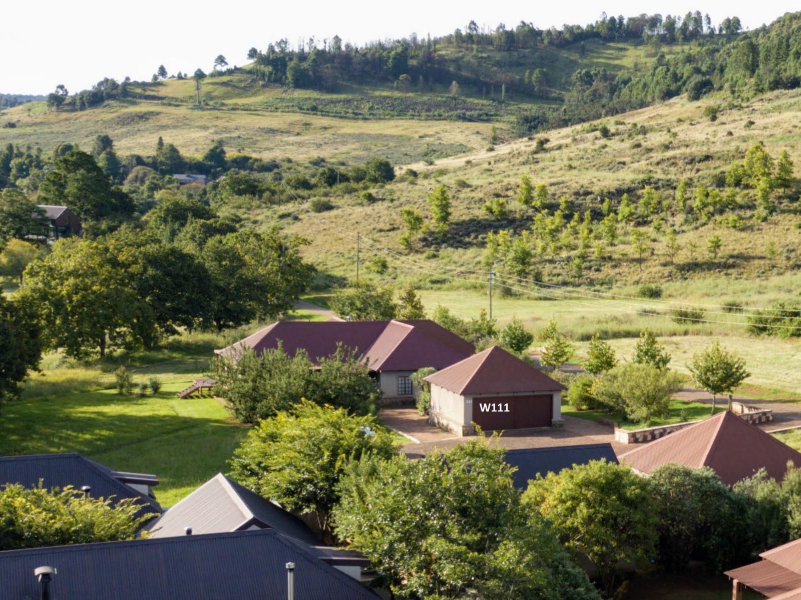 Walkersons Pastures Village Dullstroom Mpumalanga South Africa Tree, Plant, Nature, Wood, Highland