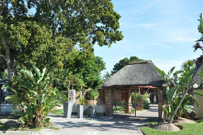 Walmer Heights Guest House Walmer Port Elizabeth Eastern Cape South Africa Complementary Colors, Palm Tree, Plant, Nature, Wood