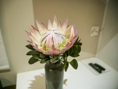 Walmer Manor Guest House Walmer Port Elizabeth Eastern Cape South Africa Bouquet Of Flowers, Flower, Plant, Nature