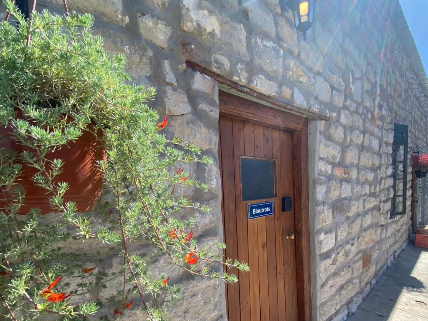 Wapad Gastehuis Nieuwoudtville Northern Cape South Africa Door, Architecture, Wall