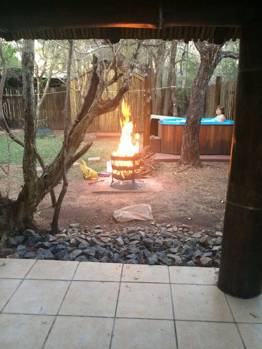 Warthog Corner Leeupoort Vakansiedorp Limpopo Province South Africa Fire, Nature, Fireplace