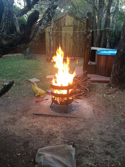 Warthog Corner Leeupoort Vakansiedorp Limpopo Province South Africa Fire, Nature