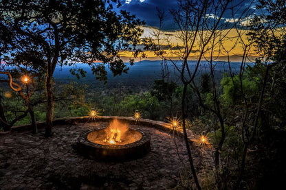 Warthog Lodge Mabalingwe Nature Reserve Bela Bela Warmbaths Limpopo Province South Africa Nature