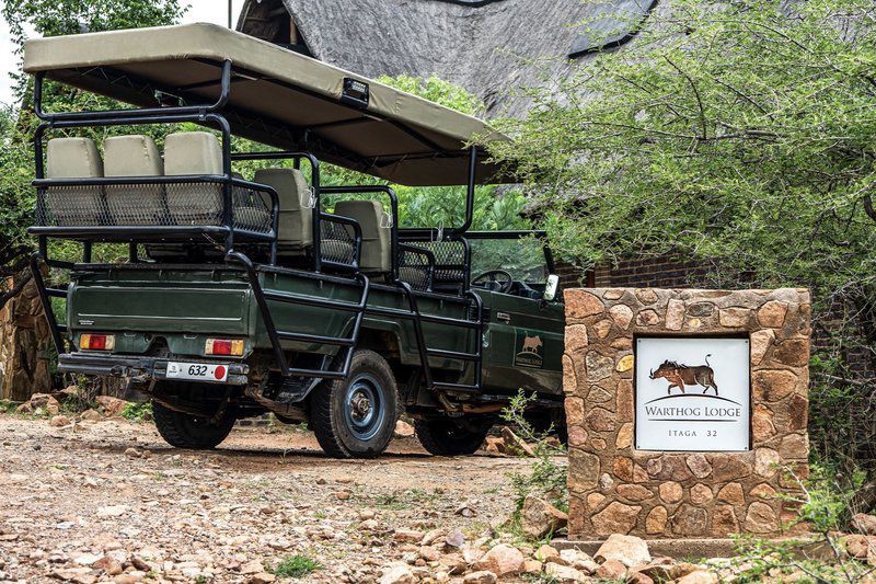 Warthog Lodge Mabalingwe Nature Reserve Bela Bela Warmbaths Limpopo Province South Africa Vehicle