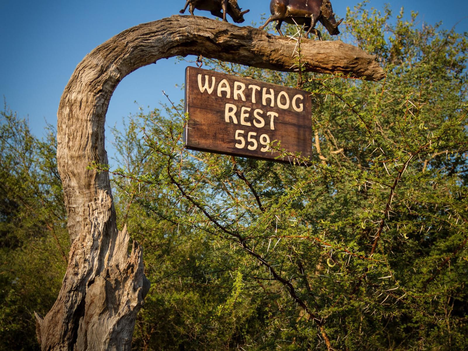 Warthogs Rest Hoedspruit Limpopo Province South Africa Sign