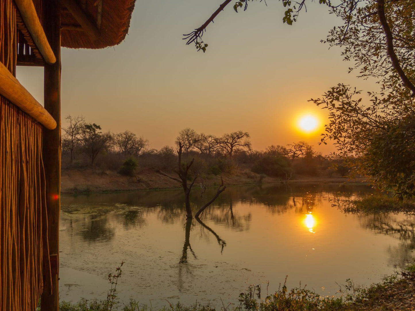 Warthogs Rest Hoedspruit Limpopo Province South Africa Sunset, Nature, Sky