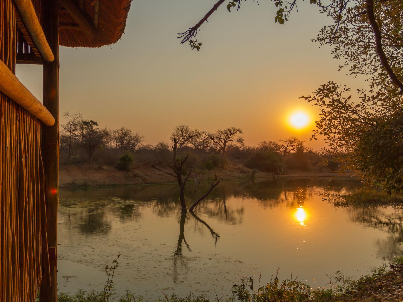 Warthogs Rest Hoedspruit Limpopo Province South Africa Sunset, Nature, Sky