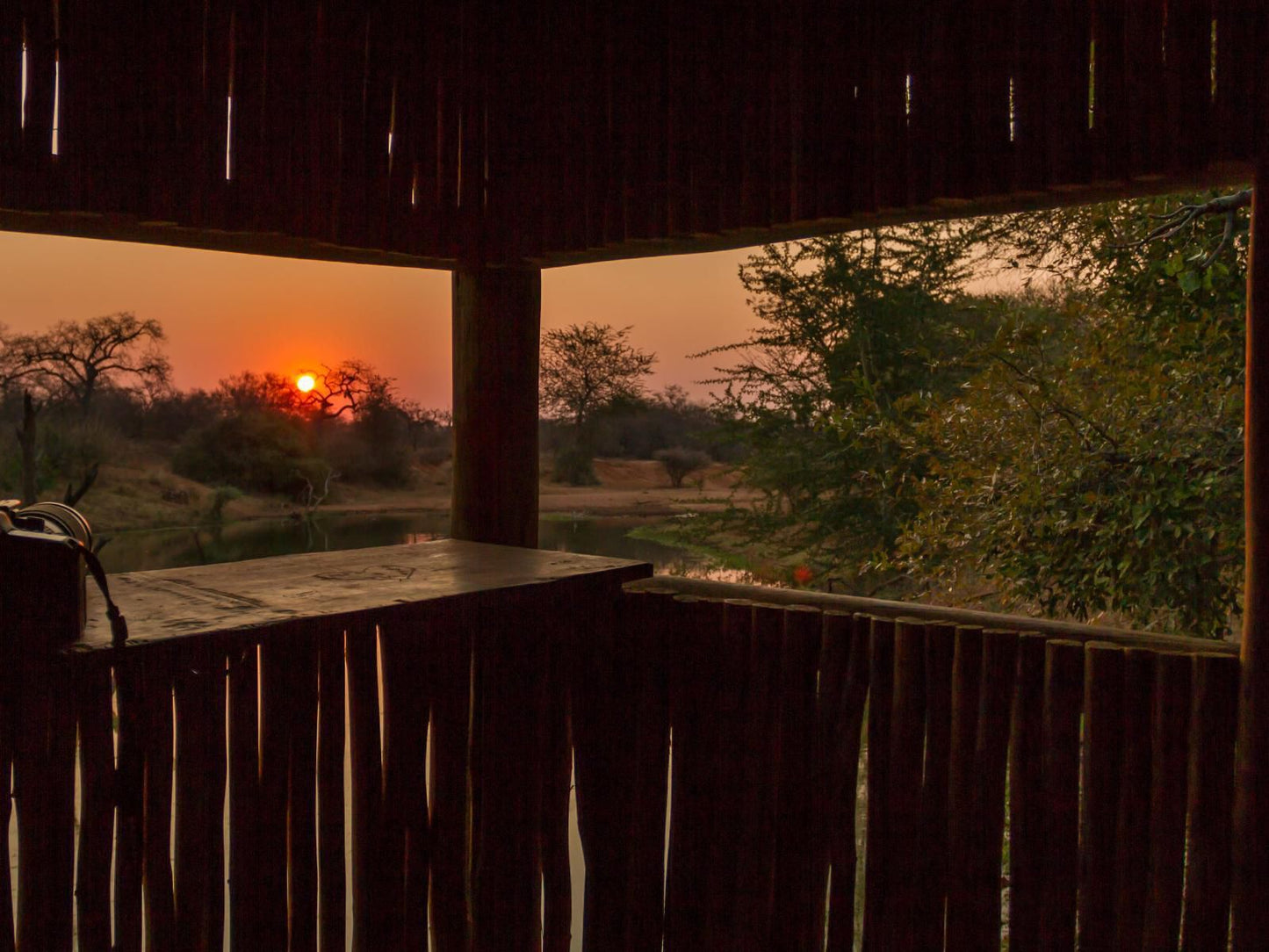 Warthogs Rest Hoedspruit Limpopo Province South Africa Sunset, Nature, Sky