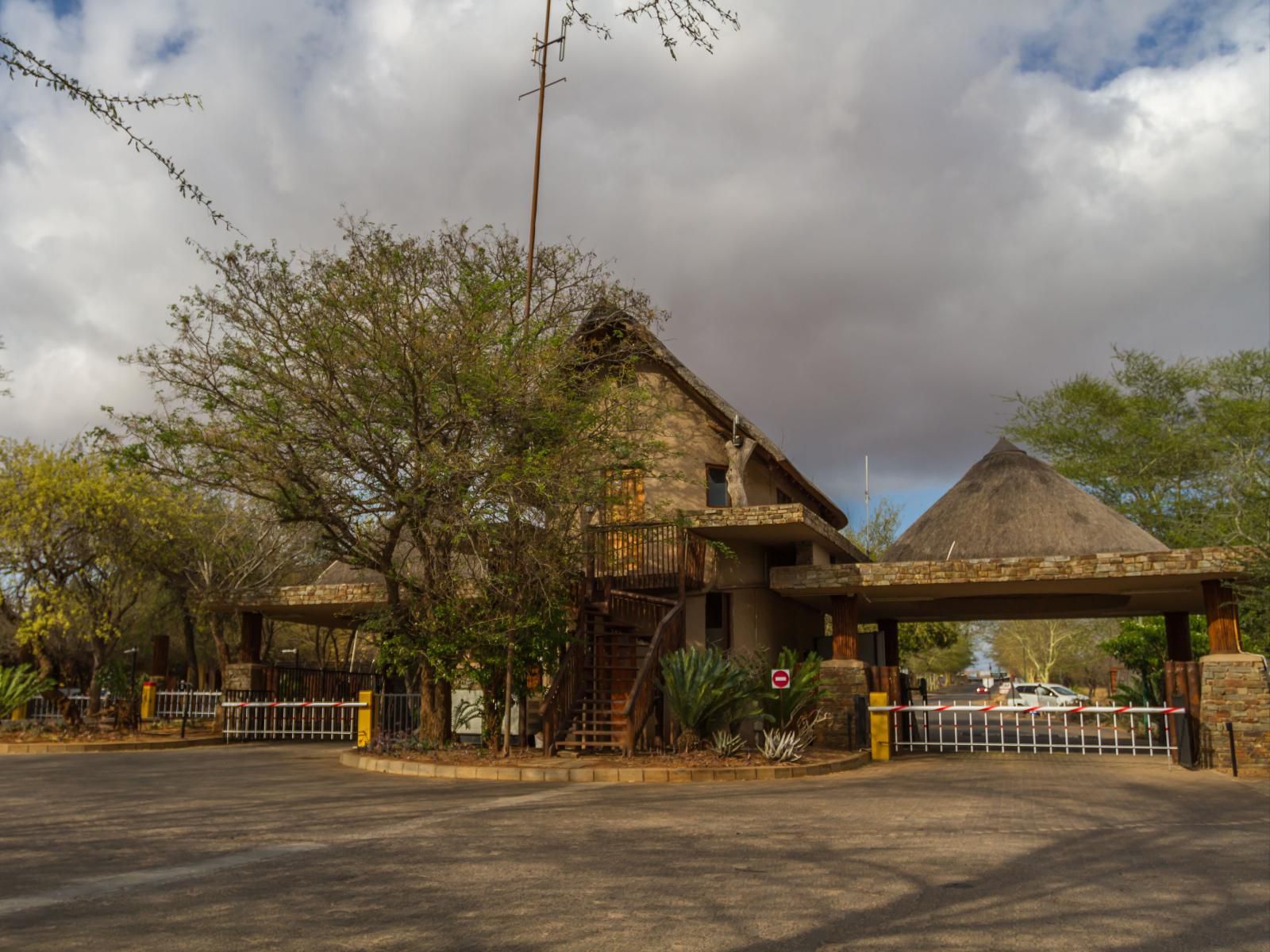 Warthogs Rest Hoedspruit Limpopo Province South Africa 