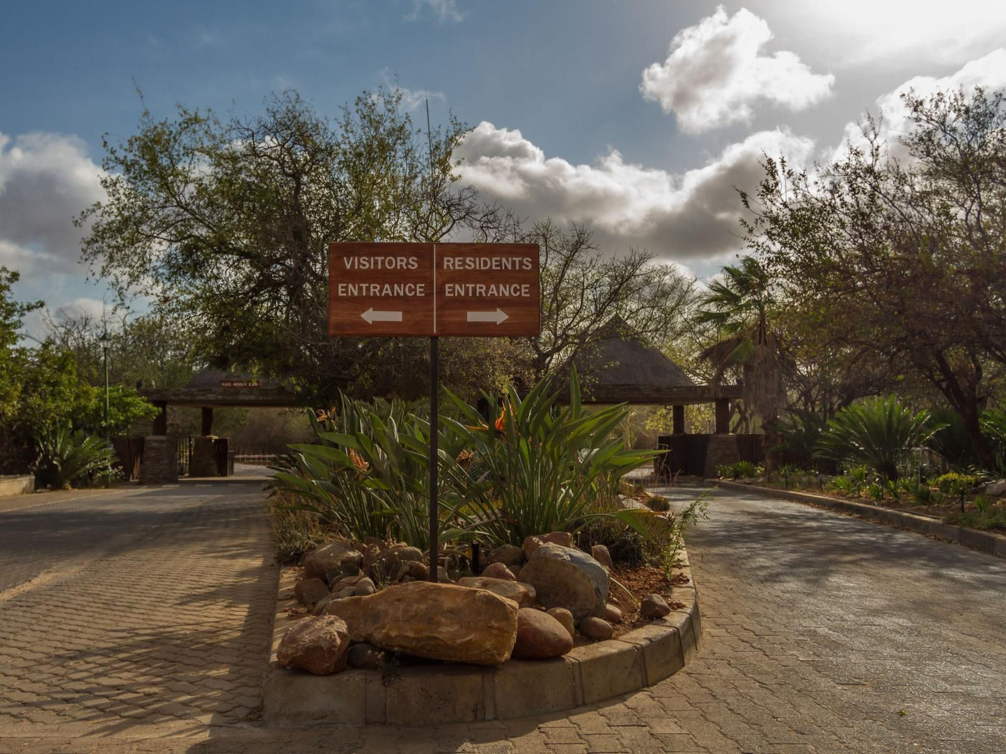 Warthogs Rest Hoedspruit Limpopo Province South Africa Palm Tree, Plant, Nature, Wood