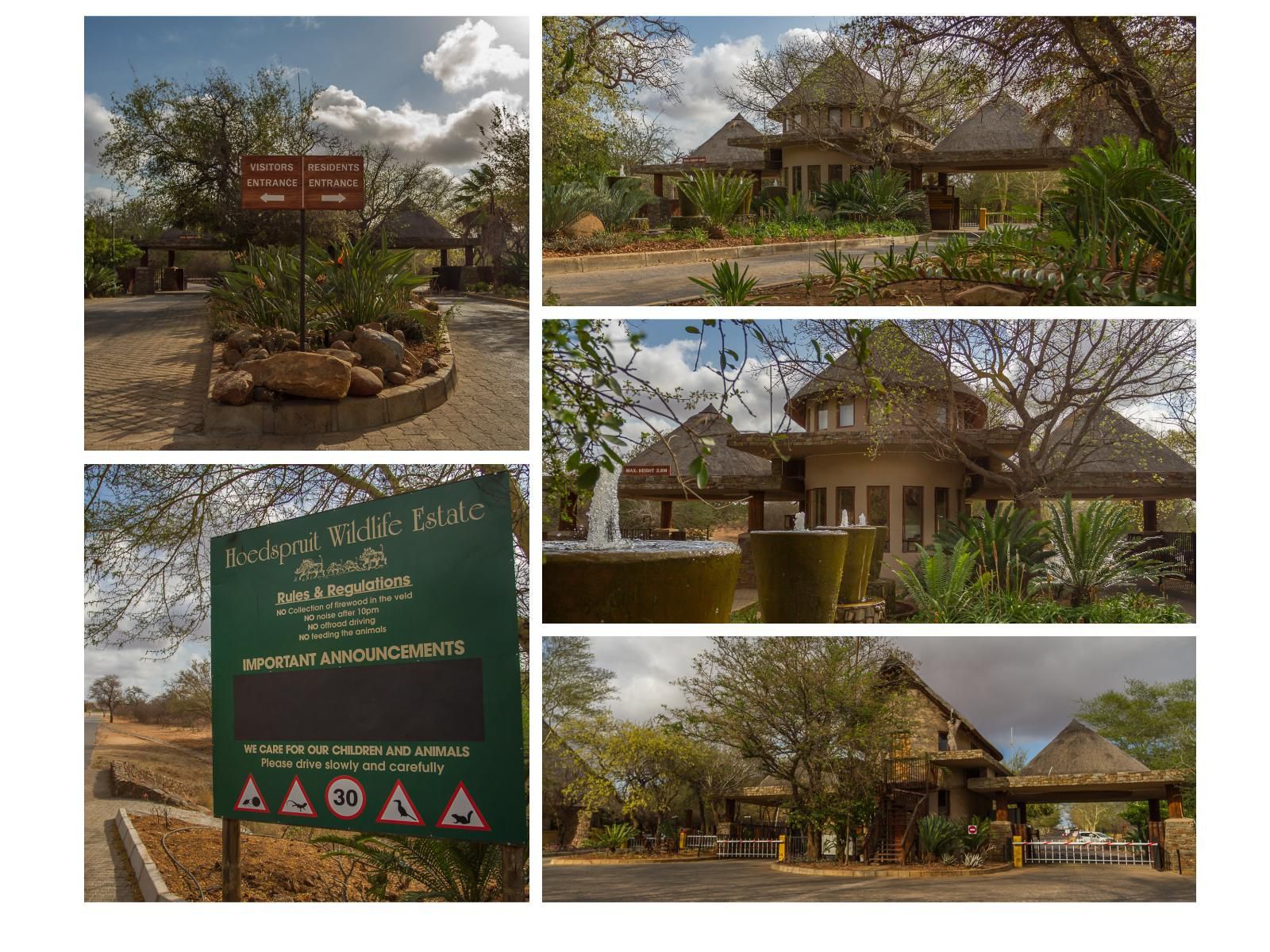 Warthogs Rest Hoedspruit Limpopo Province South Africa 