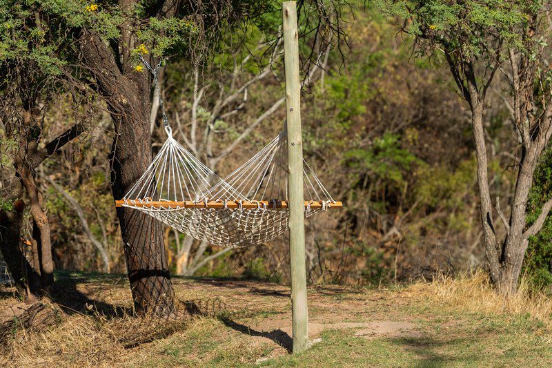 Waterberg Game Park Melkrivier Limpopo Province South Africa 