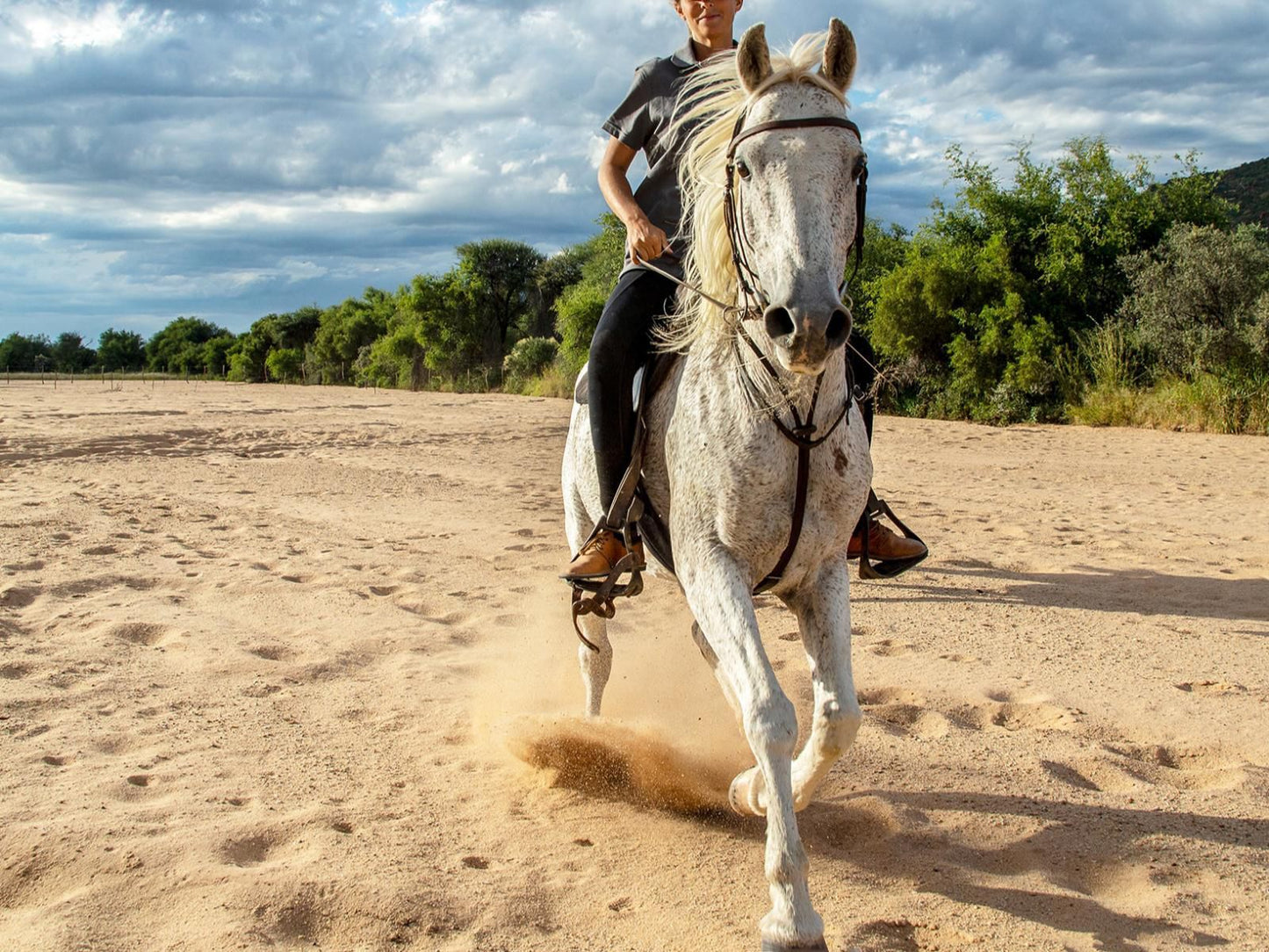 Waterberg Guest Farm, Horse, Mammal, Animal, Herbivore, Person, Portrait