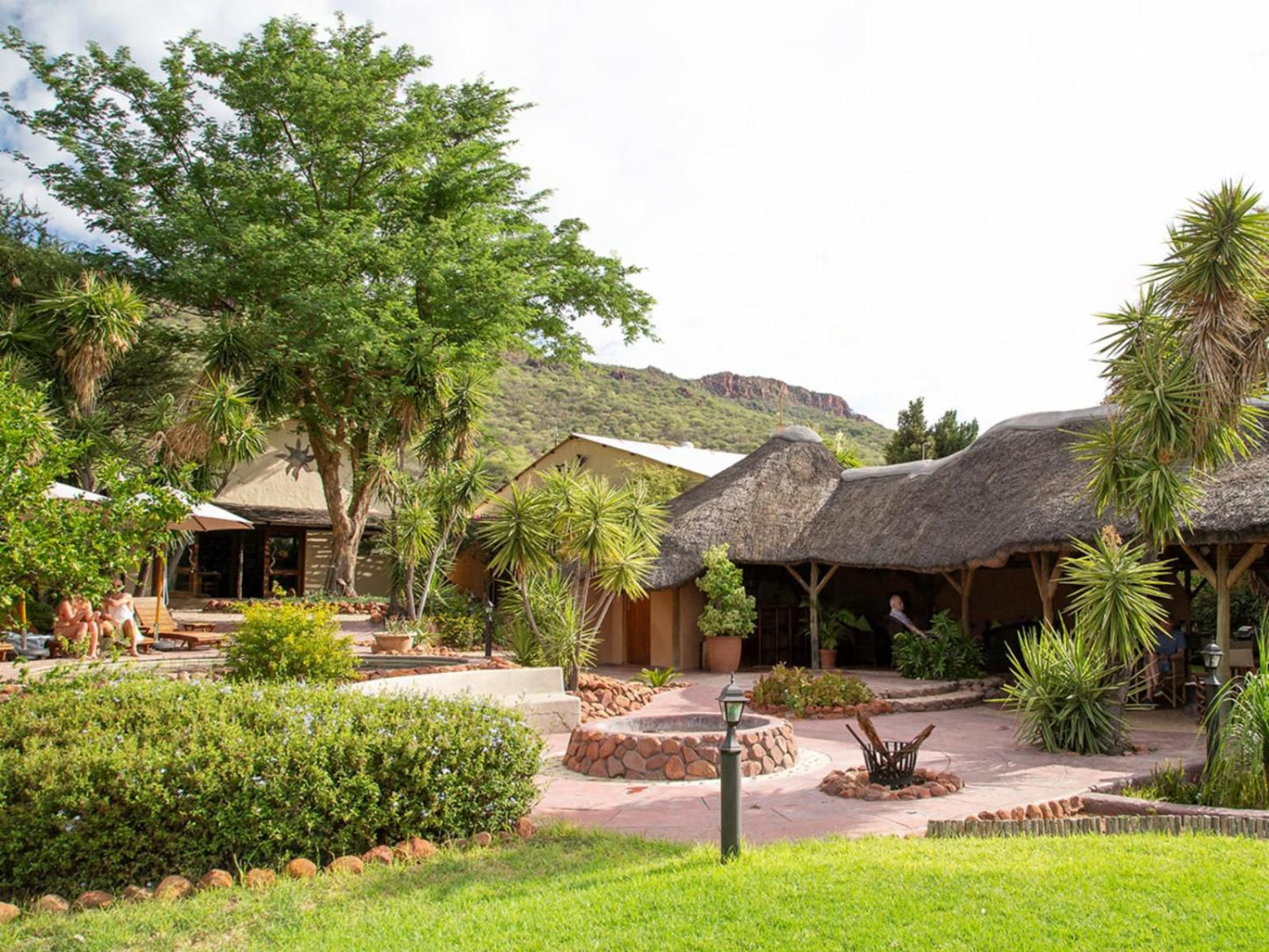 Waterberg Guest Farm, Palm Tree, Plant, Nature, Wood