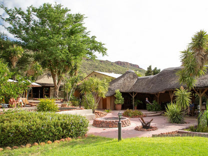 Waterberg Guest Farm, Palm Tree, Plant, Nature, Wood