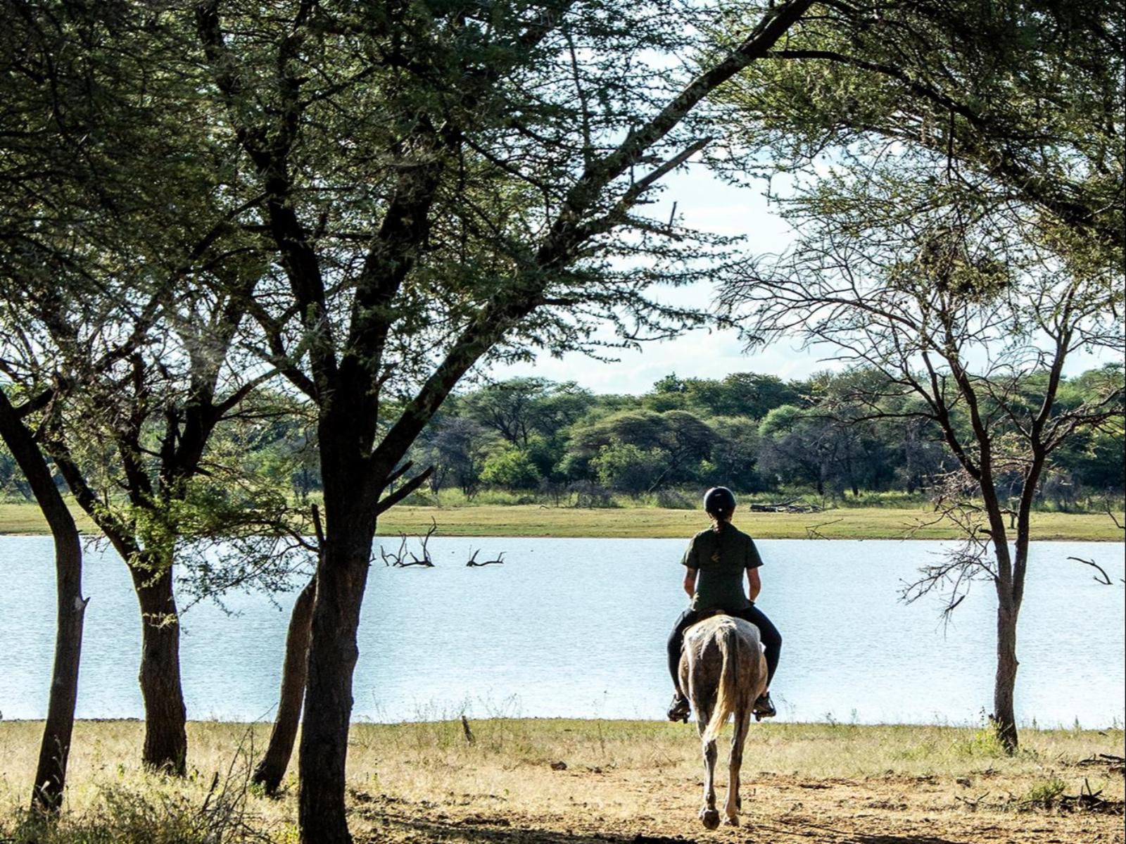 Waterberg Guest Farm, Horse, Mammal, Animal, Herbivore, Person