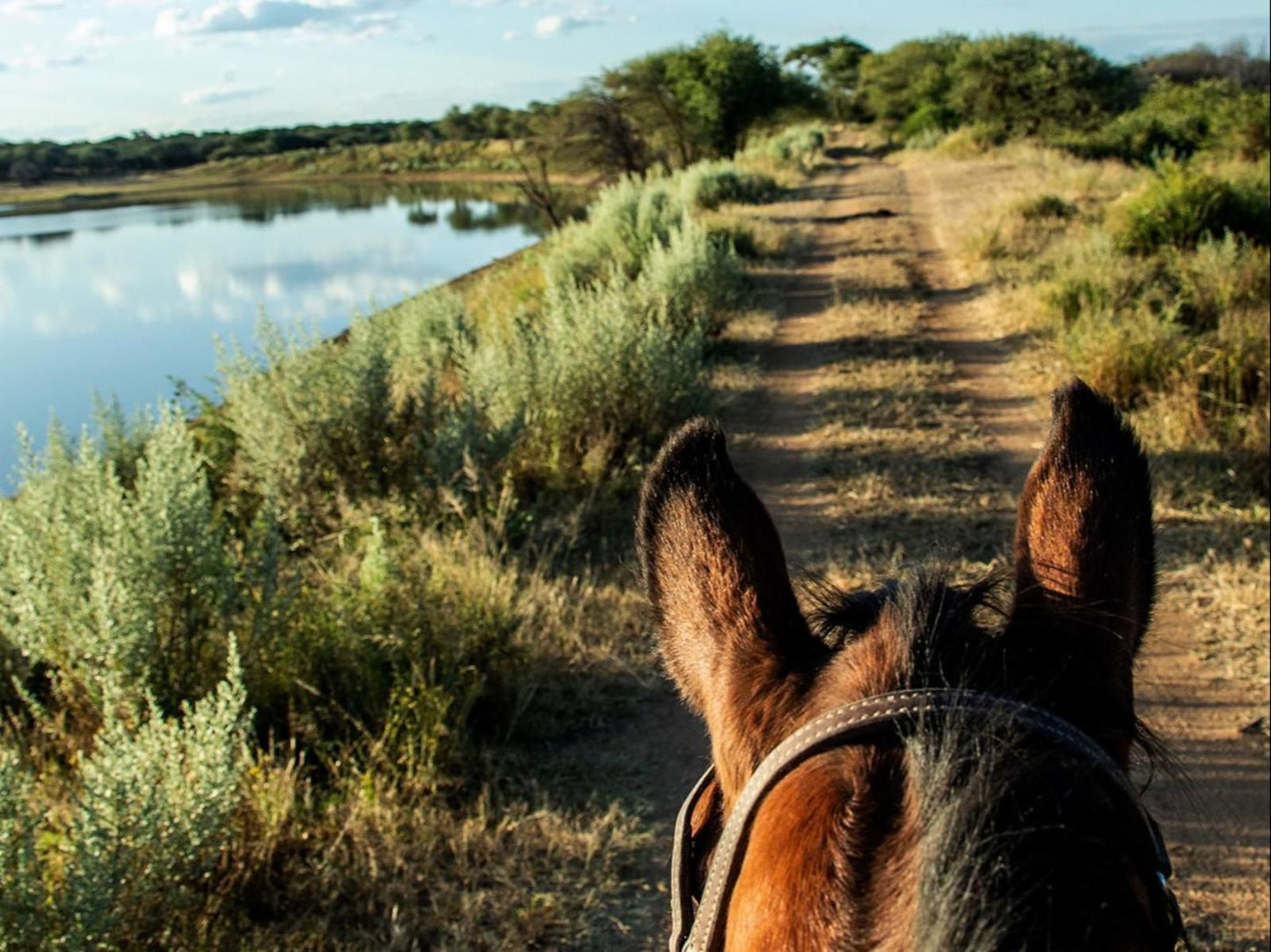 Waterberg Guest Farm, Animal