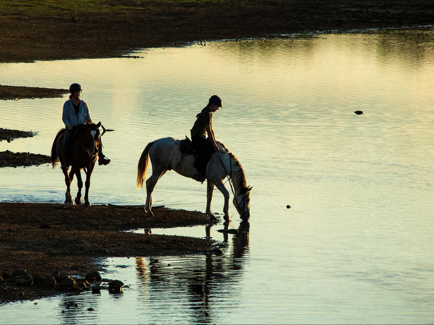 Waterberg Guest Farm, Horse, Mammal, Animal, Herbivore, Person