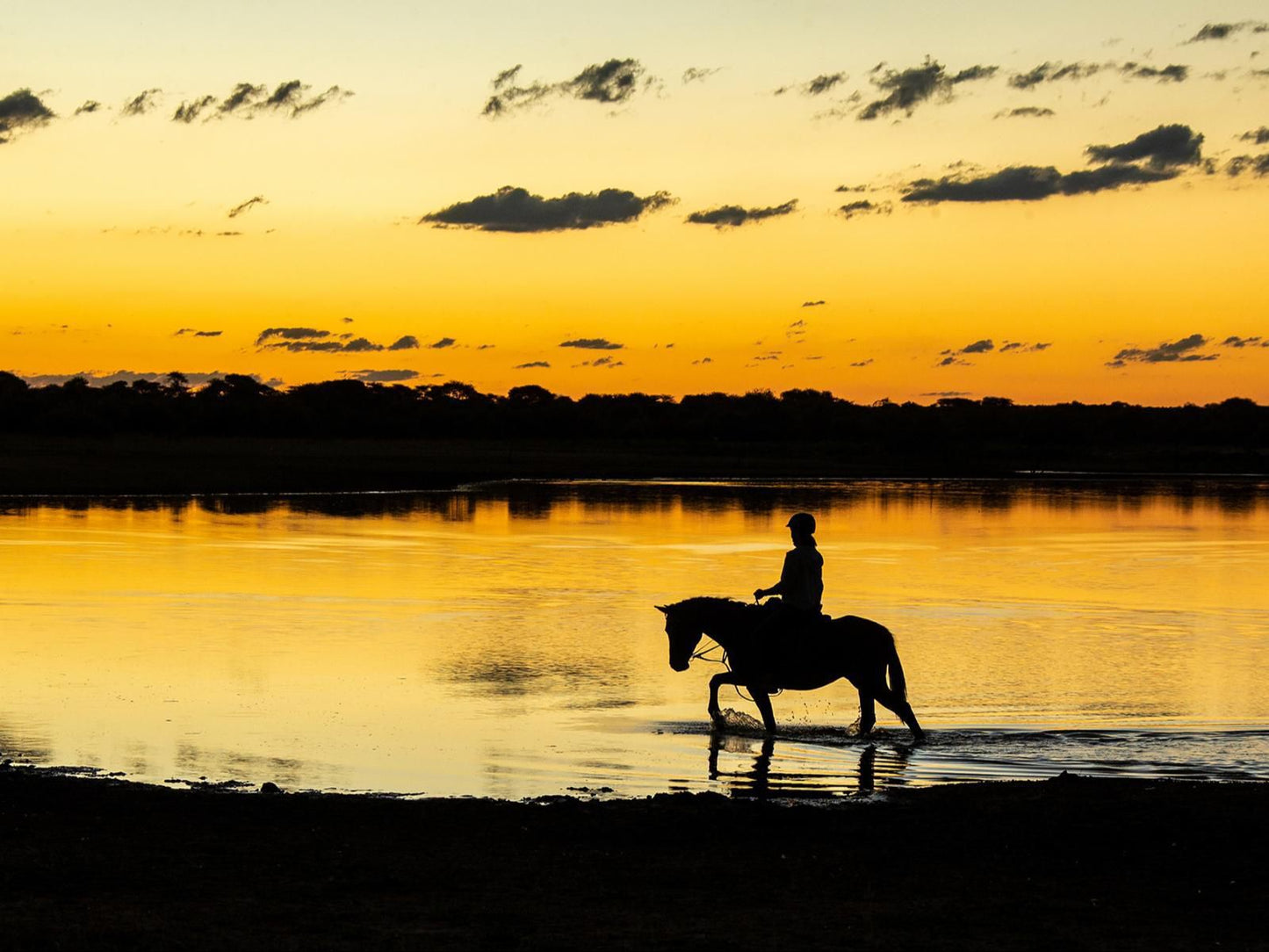 Waterberg Guest Farm, Colorful, Horse, Mammal, Animal, Herbivore, Silhouette, Person