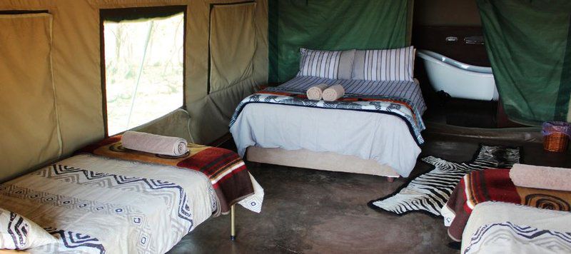 Waterberg Wilderness Reserve Waterberg Limpopo Province South Africa Tent, Architecture, Bedroom