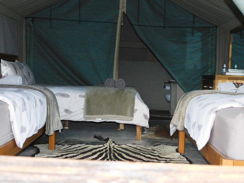 Waterberg Wilderness Reserve Waterberg Limpopo Province South Africa Tent, Architecture, Bedroom