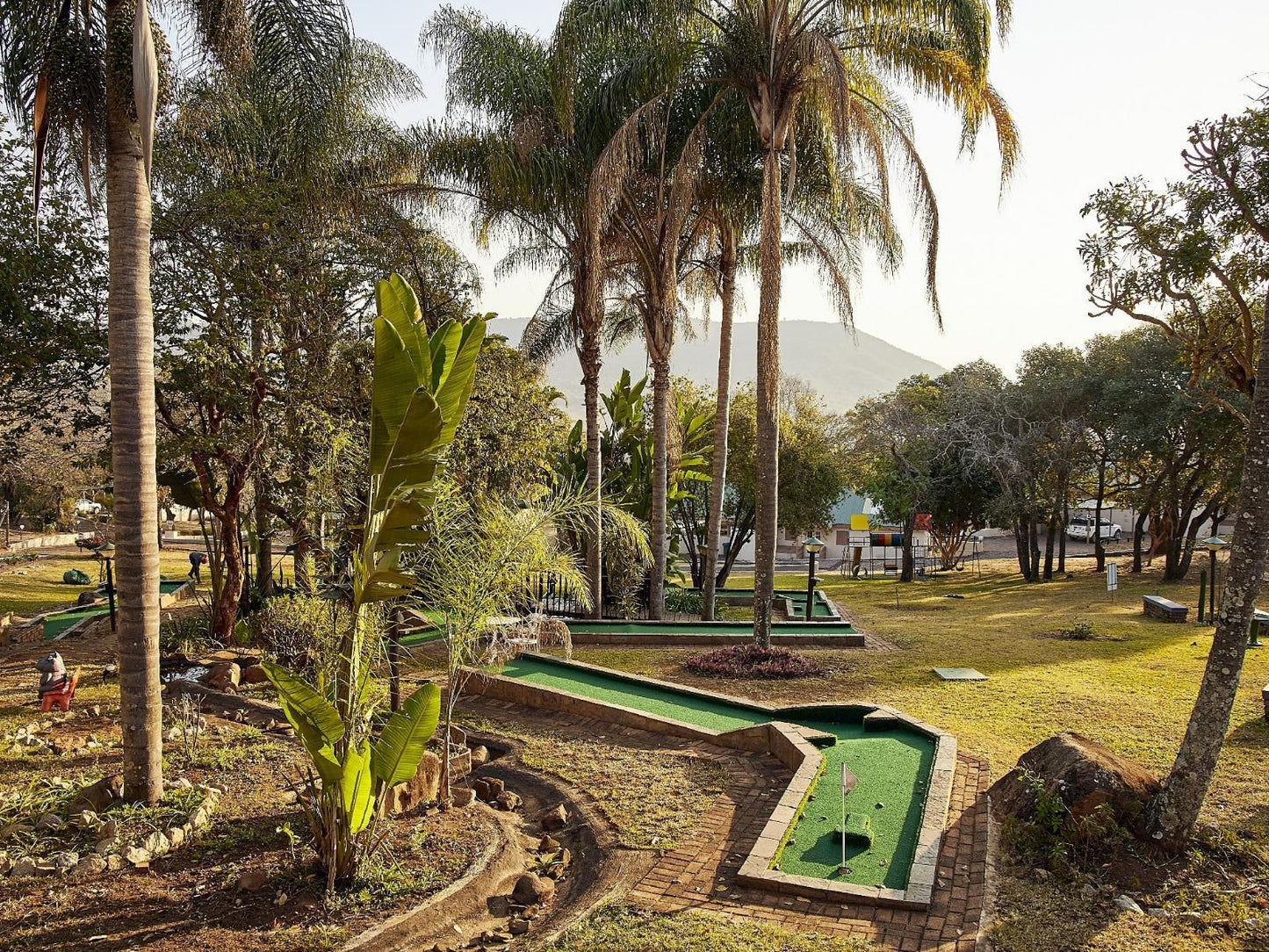 Waterberry Hill, Palm Tree, Plant, Nature, Wood, Garden, Golfing, Ball Game, Sport