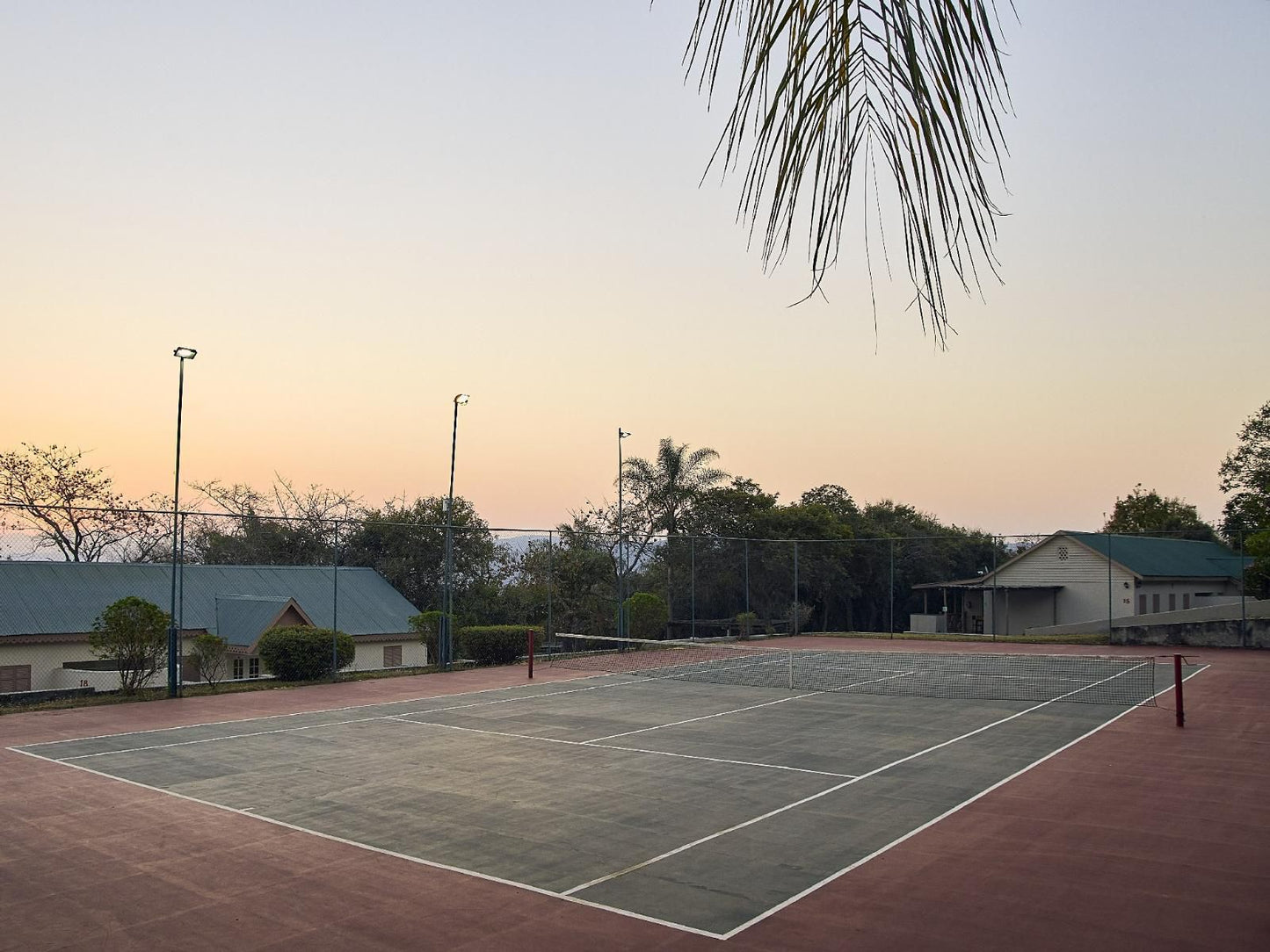 Waterberry Hill, Palm Tree, Plant, Nature, Wood, Ball Game, Sport