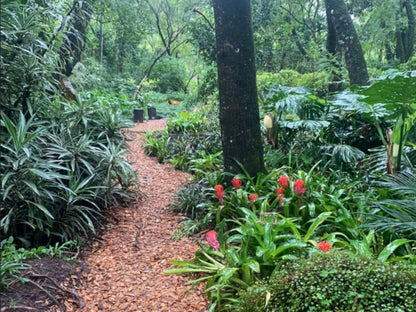 Waterbessiebos Cottage Tzaneen Limpopo Province South Africa Plant, Nature, Garden