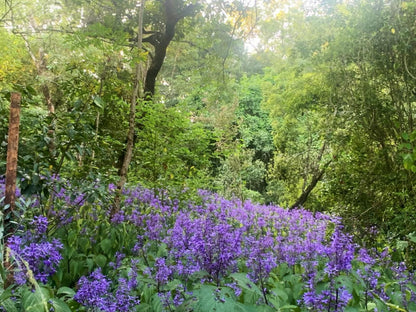 Waterbessiebos Cottage Tzaneen Limpopo Province South Africa Flower, Plant, Nature, Lavender, Tree, Wood, Garden