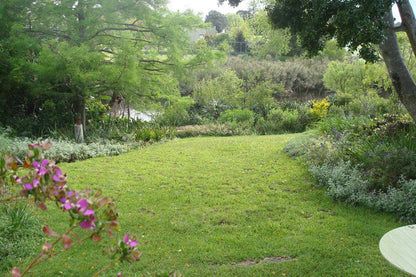 Waterbird Cottage Airlie Cape Town Western Cape South Africa Plant, Nature, Garden