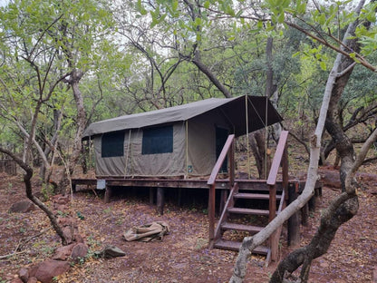 Waterfall Safari Lodge Kranspoort Mpumalanga South Africa Forest, Nature, Plant, Tree, Wood