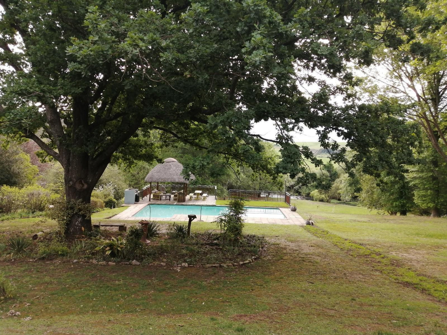 Waterford Manor Rosetta Kwazulu Natal South Africa Tree, Plant, Nature, Wood, Swimming Pool