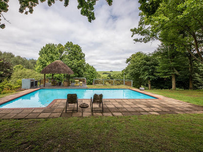 Waterford Manor Rosetta Kwazulu Natal South Africa Garden, Nature, Plant, Swimming Pool