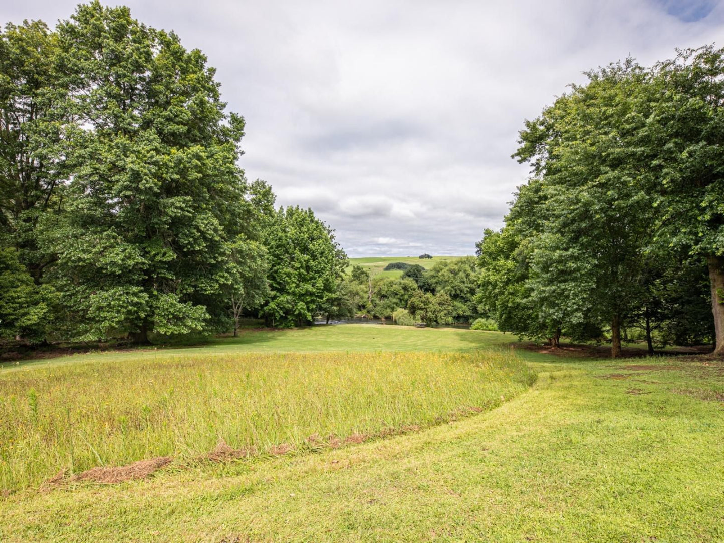 Waterford Manor Rosetta Kwazulu Natal South Africa Tree, Plant, Nature, Wood