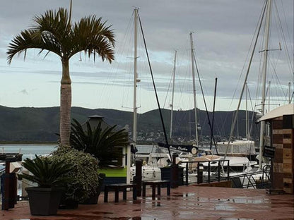 Waterfront Lagoon Terrace Nr 17 Knysna Western Cape South Africa Boat, Vehicle, Palm Tree, Plant, Nature, Wood