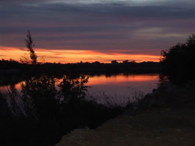 Waterfront Guest Farm Upington Northern Cape South Africa River, Nature, Waters, Sunset, Sky