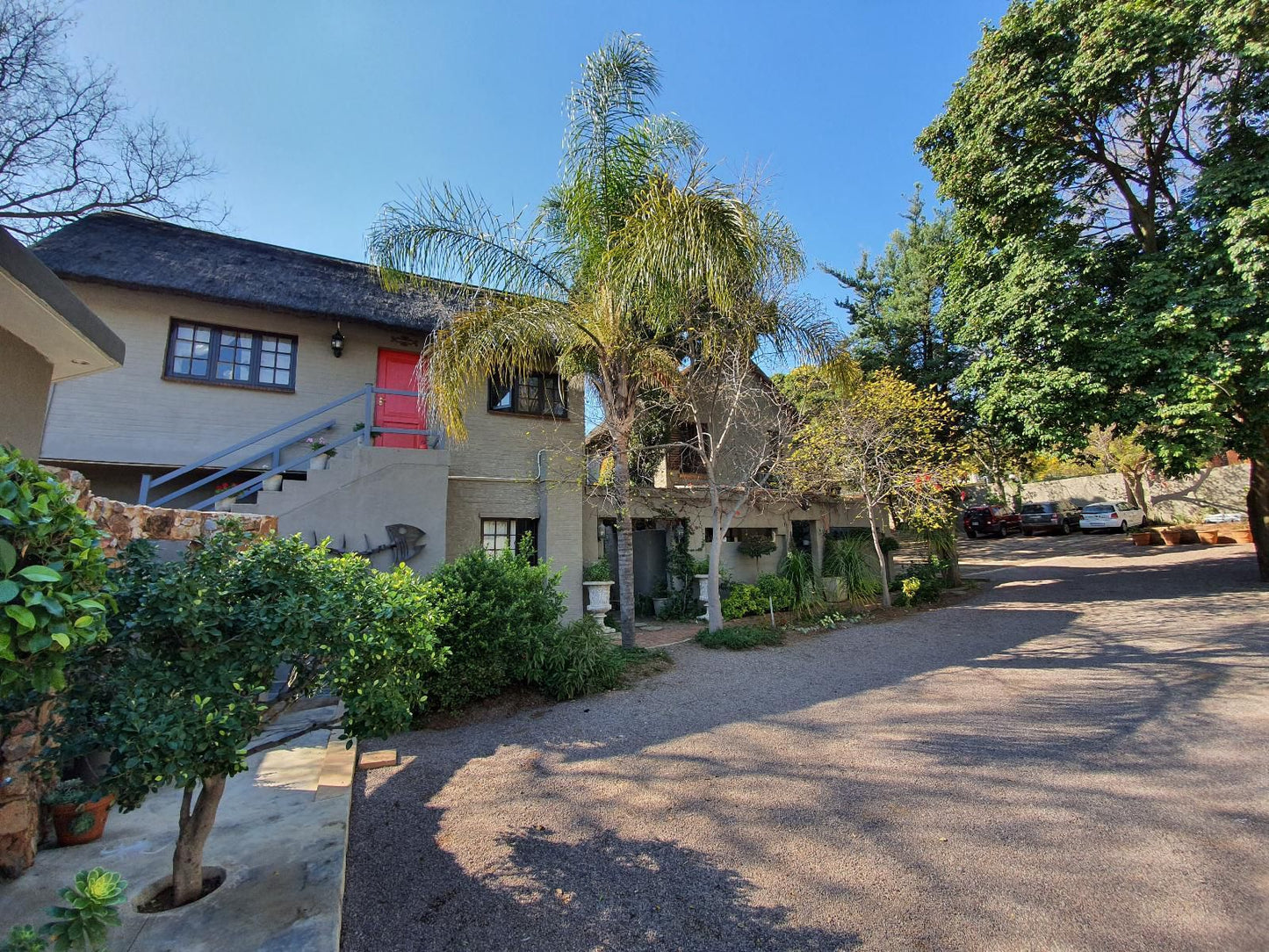 Waterhouse - 202 Lawley, House, Building, Architecture, Palm Tree, Plant, Nature, Wood, Garden