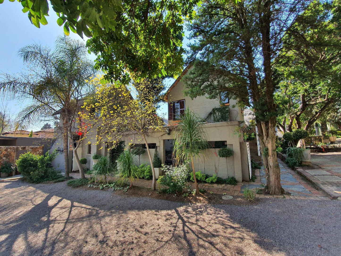 Waterhouse - 202 Lawley, Half Timbered House, Building, Architecture, House, Palm Tree, Plant, Nature, Wood, Garden