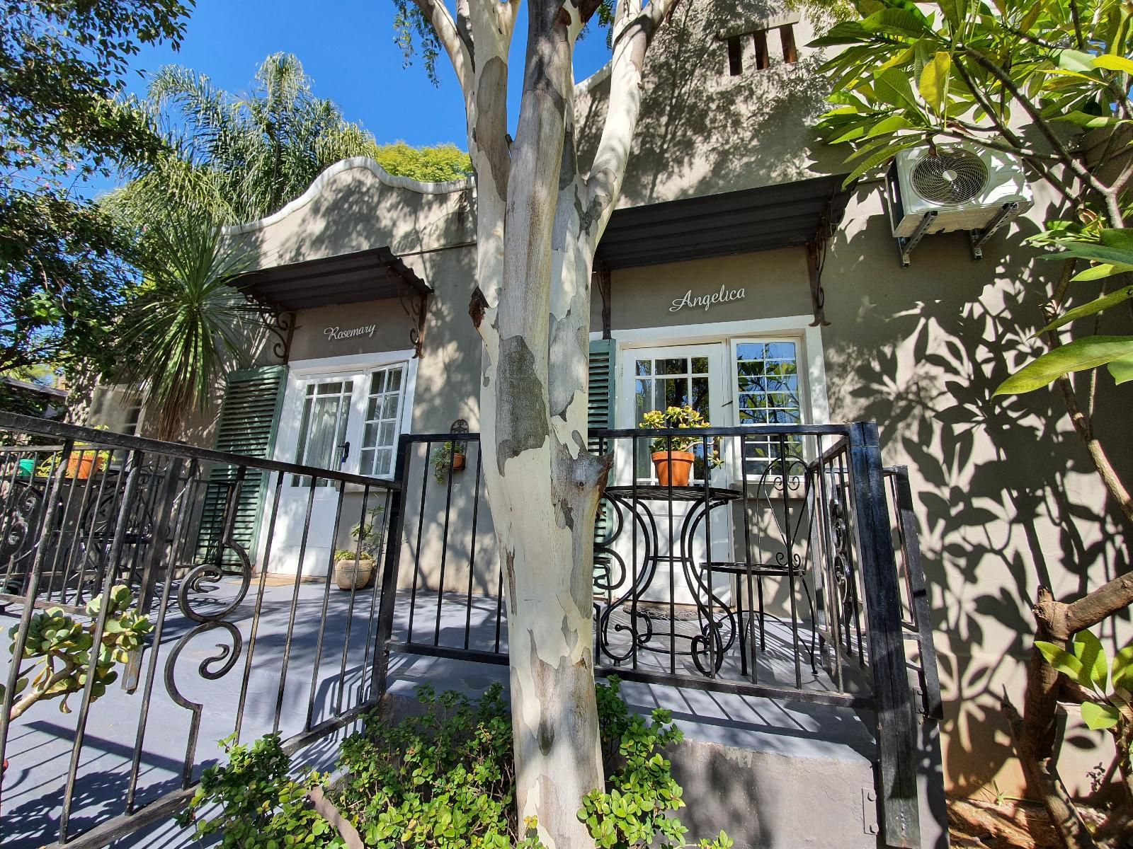 Waterhouse - 230 Bourke, House, Building, Architecture, Palm Tree, Plant, Nature, Wood