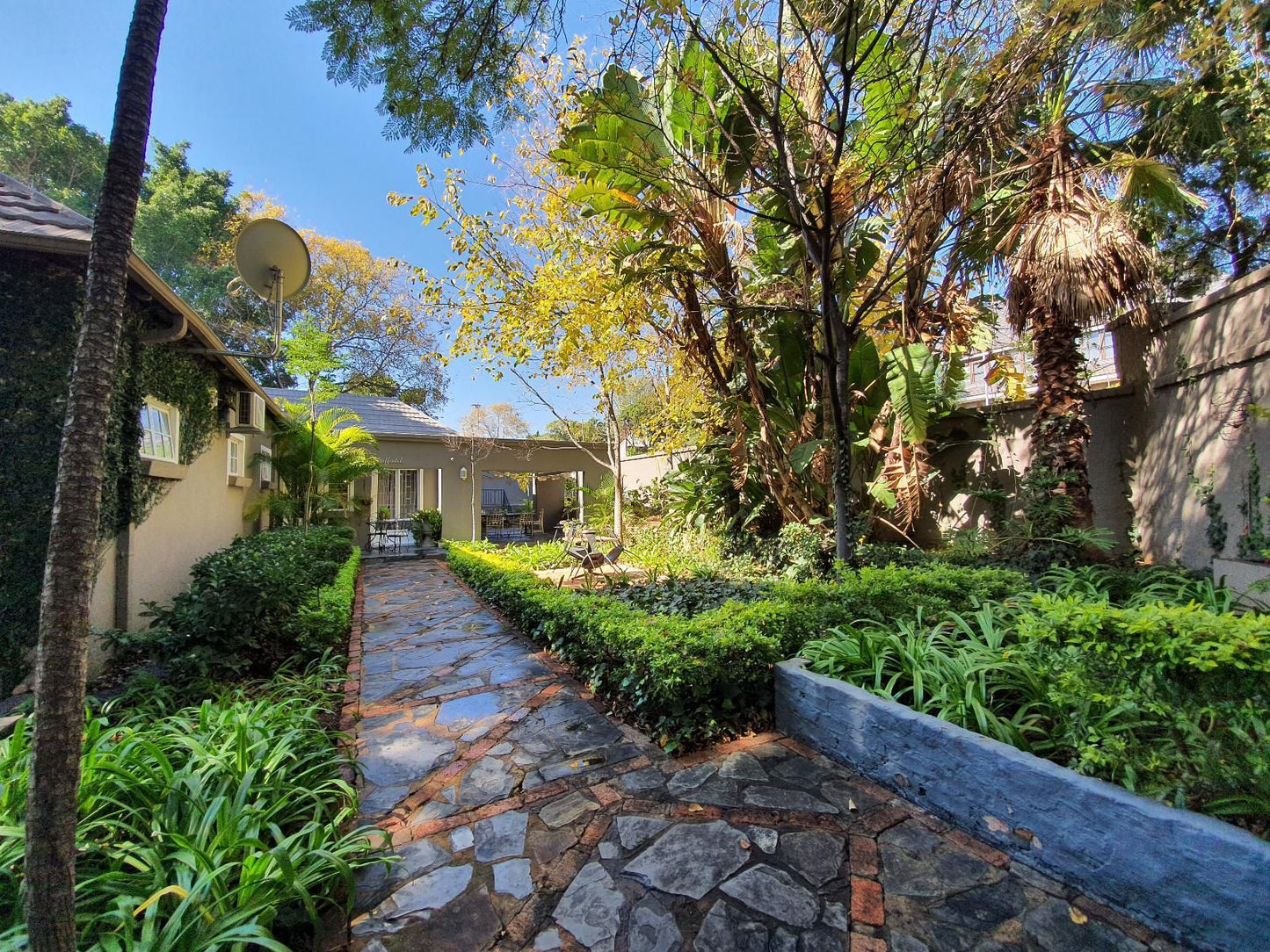 Waterhouse - 230 Bourke, House, Building, Architecture, Palm Tree, Plant, Nature, Wood, Garden