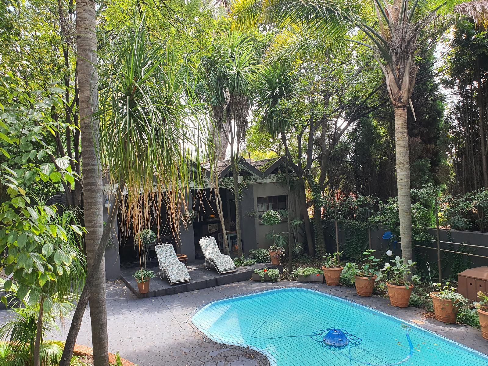 Waterhouse - 295 Indus, Palm Tree, Plant, Nature, Wood, Garden, Swimming Pool