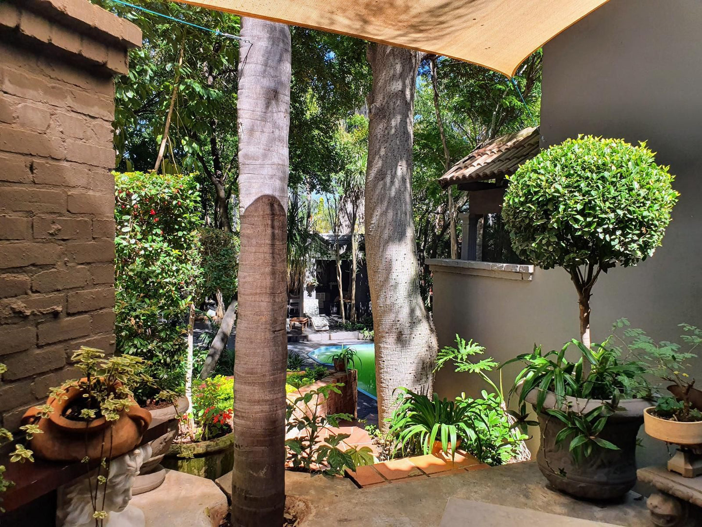 Waterhouse Guest Lodge Indus Street Waterkloof Ridge Pretoria Tshwane Gauteng South Africa Palm Tree, Plant, Nature, Wood, Garden