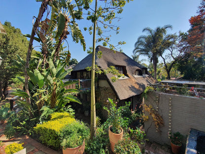 Waterhouse Guest Lodge Lawley Street Waterkloof Pretoria Tshwane Gauteng South Africa Complementary Colors, House, Building, Architecture, Palm Tree, Plant, Nature, Wood